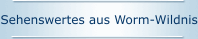 Sehenswertes aus Worm-Wildnis